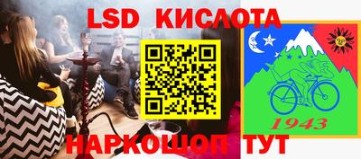 шишки Краснознаменск