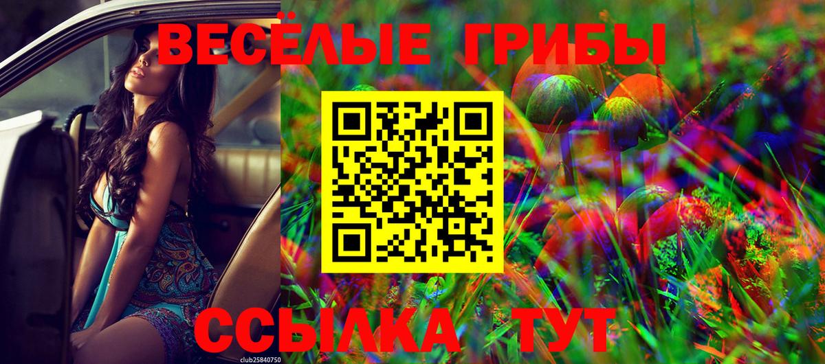 Аксай  Галлюциногенные грибы мухоморы  Галлюциногенные грибы прущие грибы  Вход с VPN 